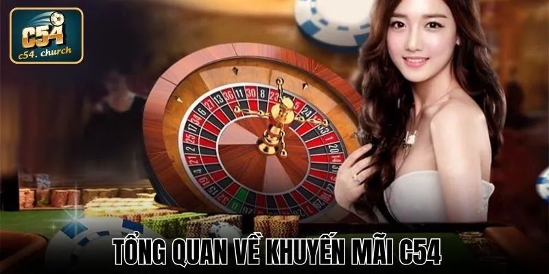 Giới thiệu tổng quan về khuyến mãi C54 cho thành viên