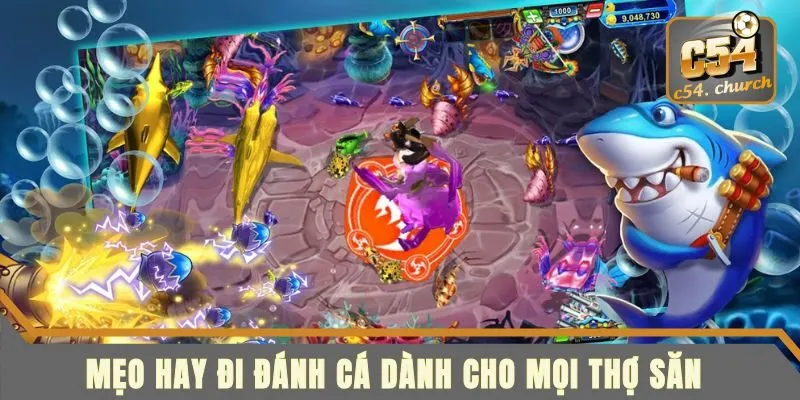 Mẹo hay đi săn