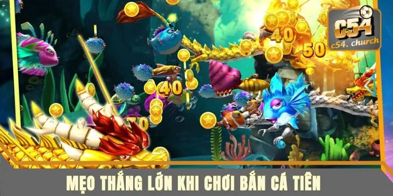 Mẹo thắng lớn tại game săn cá tiên C54
