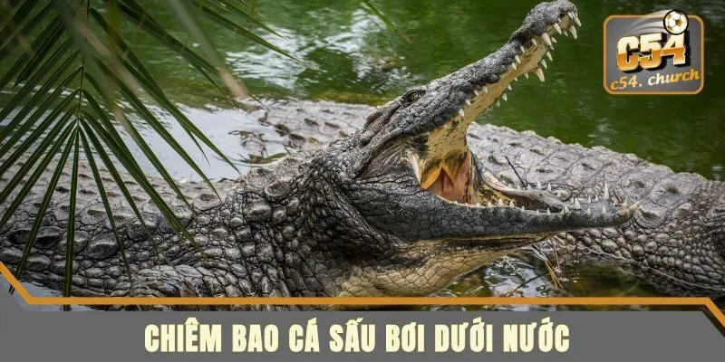 Nằm mơ thấy cá sấu đánh đề số mấy