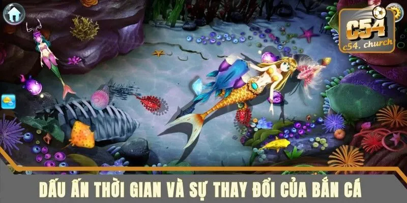 Cẩm nang toàn tập để trở thành thợ săn cá